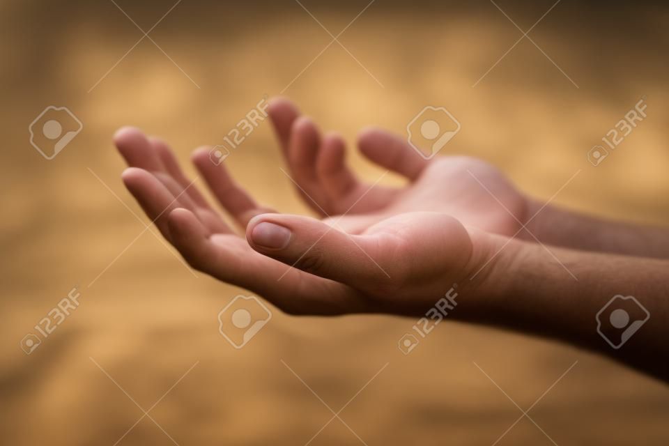 Mãos de homem caucasiano segurando as palmas das mãos para cima e as mãos estão vazias. Profundidade rasa de campo e foco.
