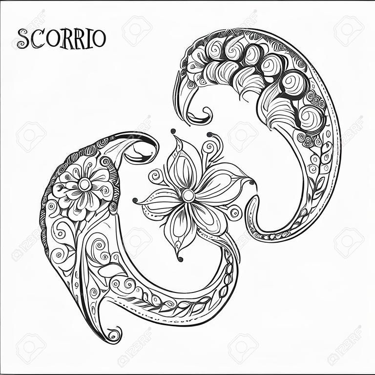 Pattern for coloring book. Hand drawn line flowers art of zodiac Scorpio. Horoscope symbol for your use. For tattoo art, coloring books set. 