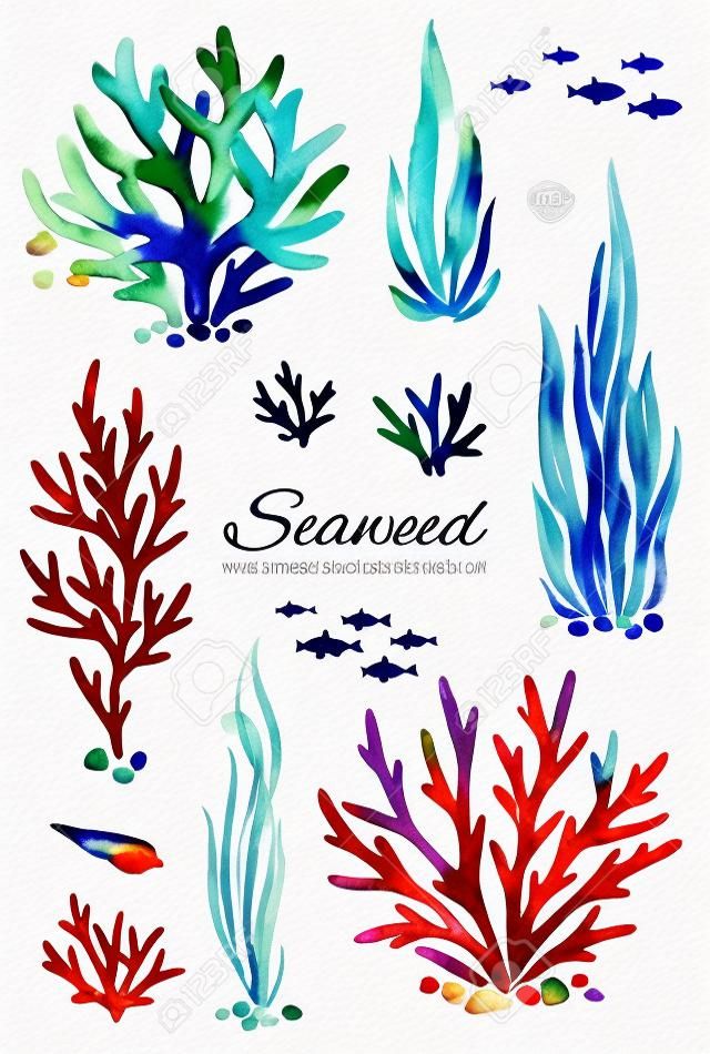 Oceanic Algen Aquarell gesetzt. Handgemalte mehrfarbige Unterwasserkorallenriffe, Muscheln und Fische. Perfekt für Einladungen, Partydekorationen, bedruckbar, Handwerksprojekt, Grußkarten, Blogs, Aufkleber