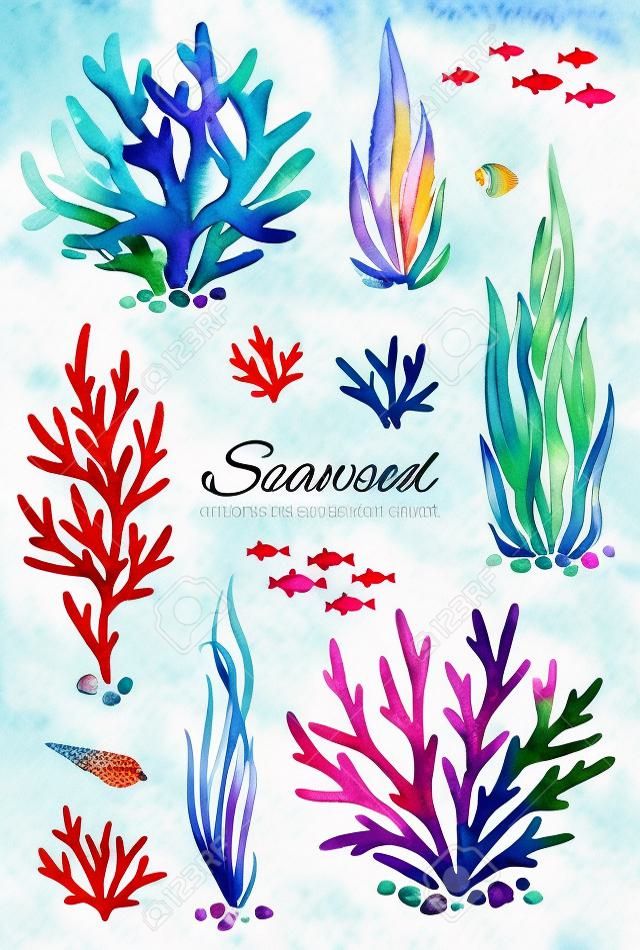 海洋海藻水彩セット。水中手は多色のサンゴ礁、貝殻や魚を描きました。招待状、パーティーの装飾、印刷可能な、クラフトプロジェクト、グリーティングカード、ブログ、ステッカーに最適