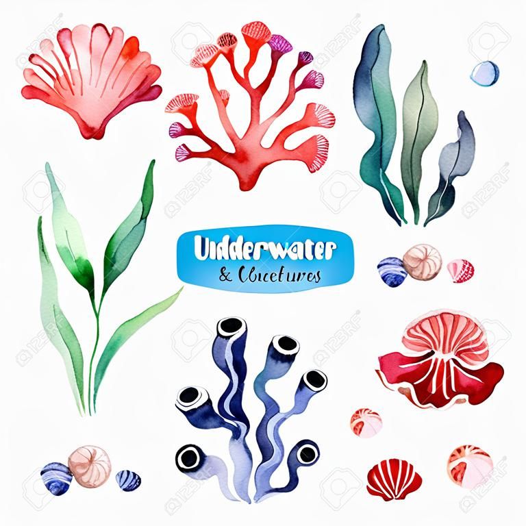 Underwater creatures. Watercolor collection with multicolored coral reefs, seashells and seaweeds.Perfect for invitations, party decorations, printable, craft project, greeting cards, blogs, stickers etc.