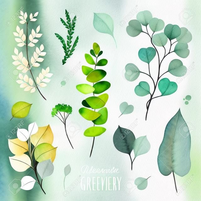 Watercolor Greenery set.Texture with eucalyptus, leaves, fern, branches.Perfect for wedding, invitations, greeting cards, quotes, patterns, logos and your unique creation.
