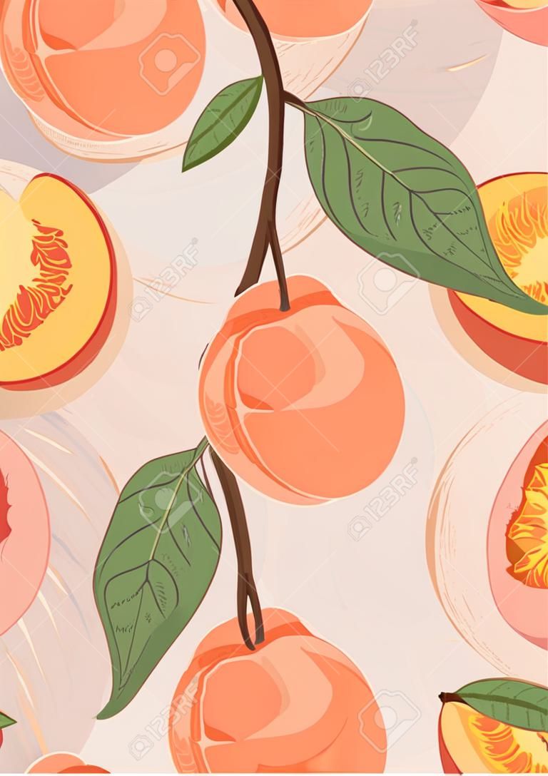 Ripe peaches on branch. Sweet nectarine fruits vector hand drawn card design. Peach seed, leaves.
