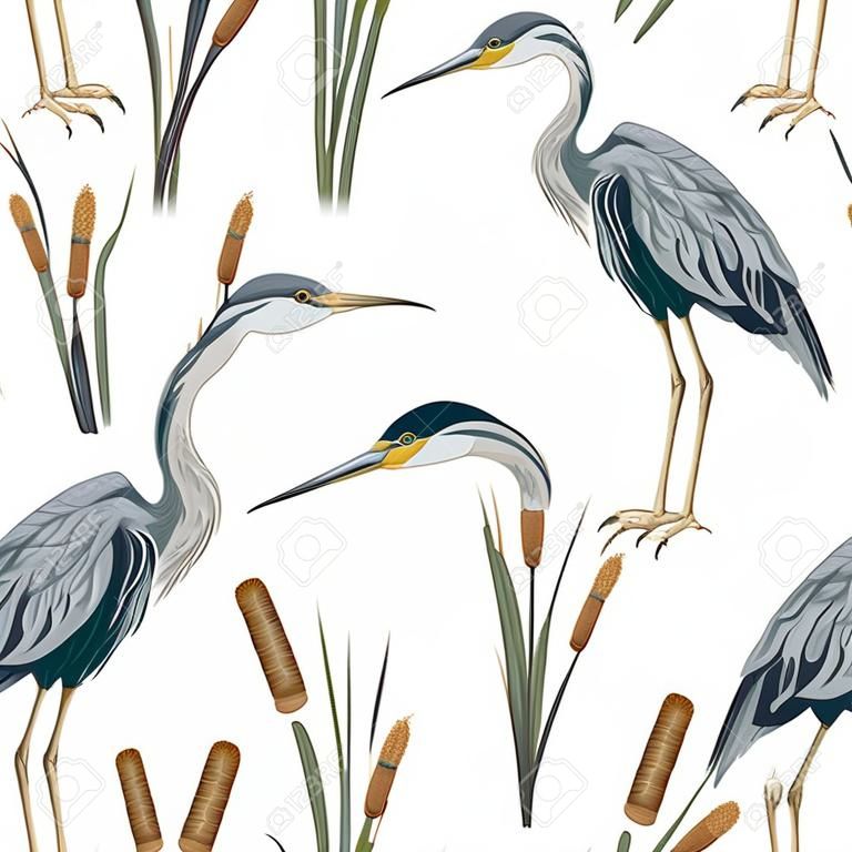 与鹭鸟、bulrush Swamp flora和动物群无缝搭配的水彩风格手绘矢量插图