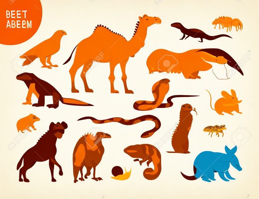 Vector collection of flat hand drawn desert animal, reptiles, insects: camel, snake, lizard isolated on white background. For children book illustration, alphabet, zoo emblems, banners, infographics.