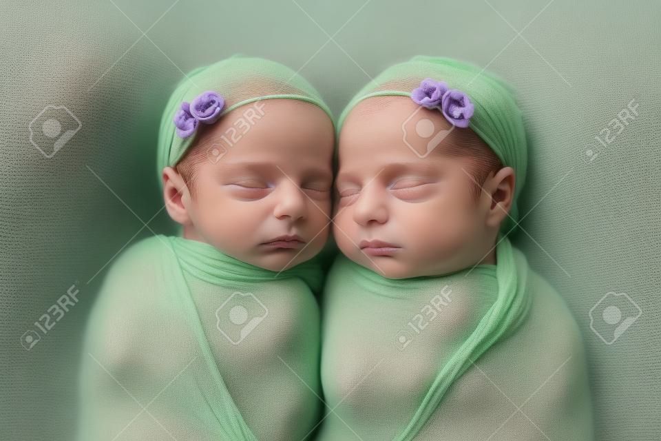 밝은 녹색과 라벤더 스트레치 랩 소재로 싸인 이란성 쌍둥이 신생아 소녀의 얼굴 사진.