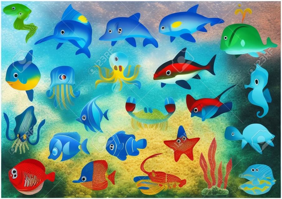 Une variété d'organismes marins