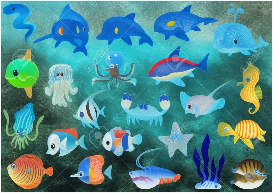 Une variété d'organismes marins