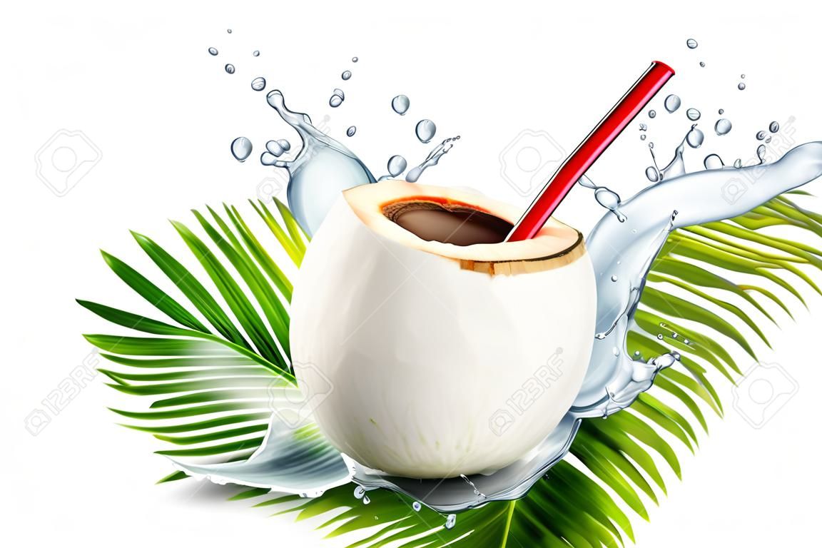 Кокосовая вода с брызгами напитка и соломинкой в 3d иллюстрации на белом фоне листьев сливы