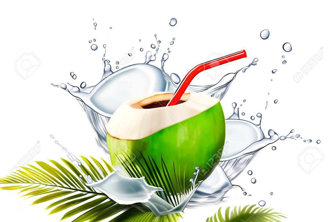 Coconut water with splashing drink and straw in 3d illustration on plam leaves white background