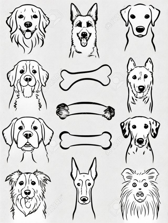 Dog / Line drawing