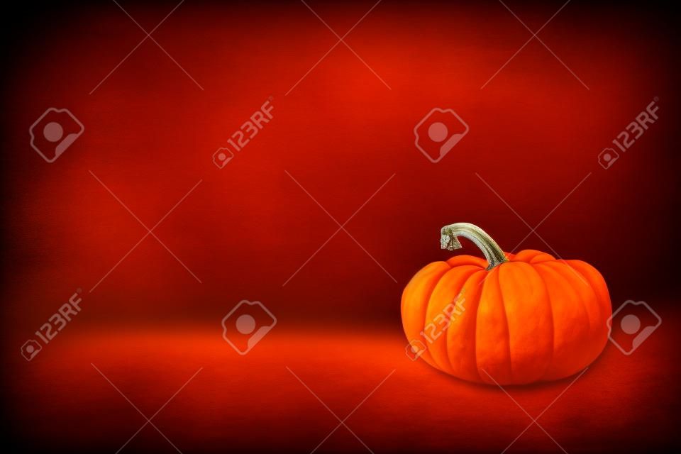 Texture of Jack Be Little Pumpkin on Dark Background