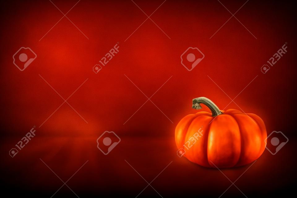 Texture of Jack Be Little Pumpkin on Dark Background