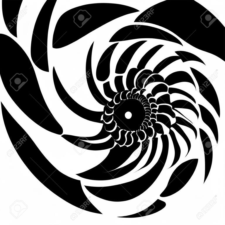 Graphic vector image of a shell of an ancient malyuska. Abstract background, pattern. Isolated object on white background