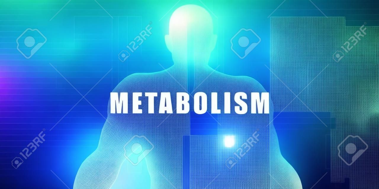 Метаболизм как футуристическая концепция