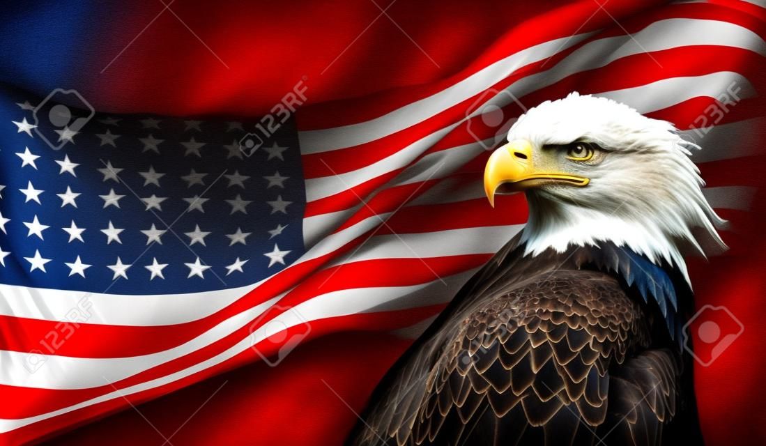 Eagle chauve américain avec le drapeau.