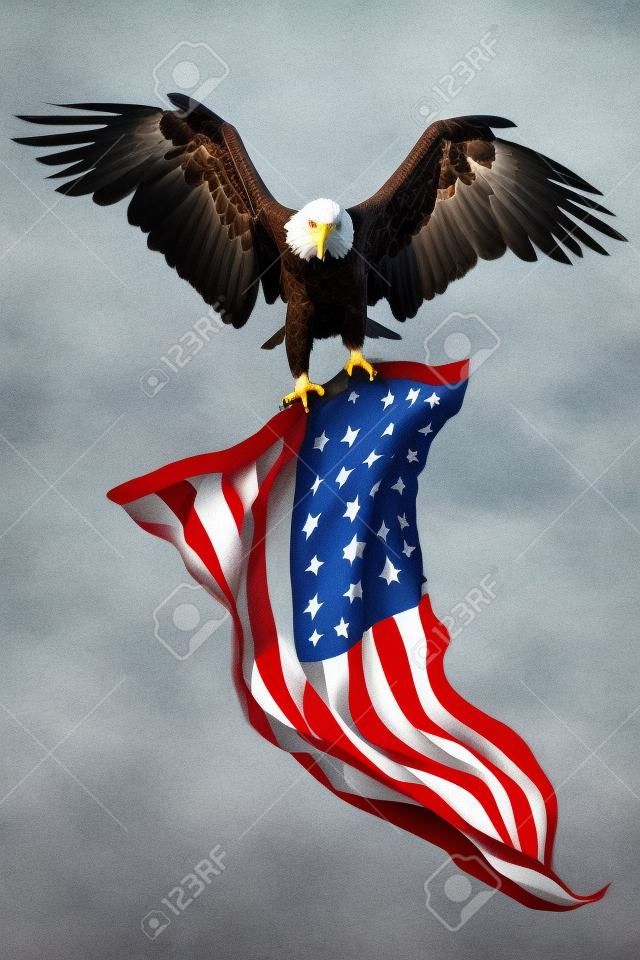 與美國國旗的白頭鷹