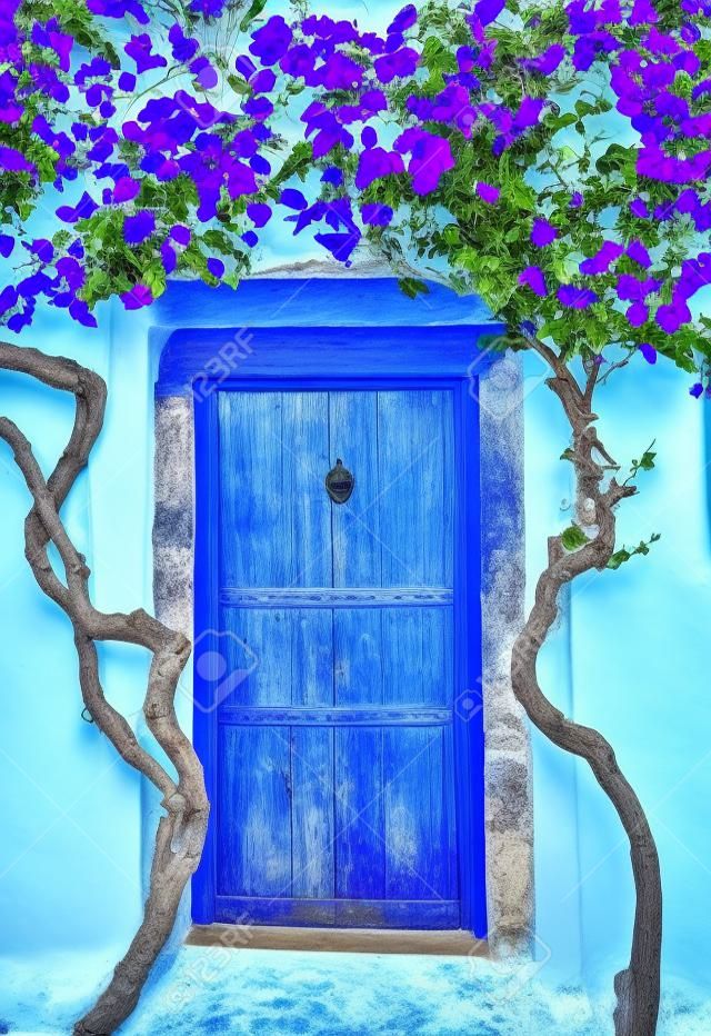 Beautiful blooming bougenvilia with traditional old blue door in old village Emporio on the island of Santorini in Greece.
