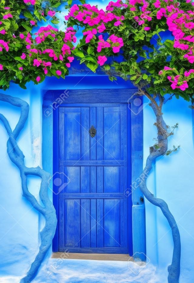 Beautiful blooming bougenvilia with traditional old blue door in old village Emporio on the island of Santorini in Greece.