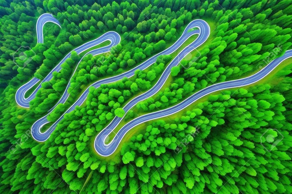 Estrada curvilínea na floresta de atumn.