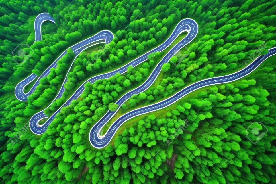 Carretera con curvas en el bosque otoñal.