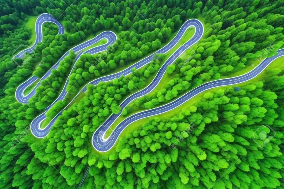 アタムンの森の曲線的な道。