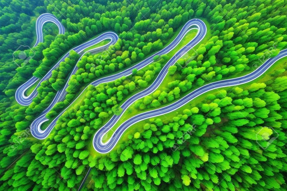 Carretera con curvas en el bosque otoñal.