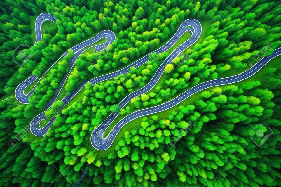 Estrada curvilínea na floresta de atumn.