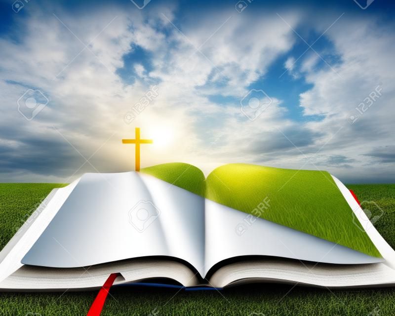 Una Biblia abierta con una carretera y campo de hierba que conduce a una cruz.