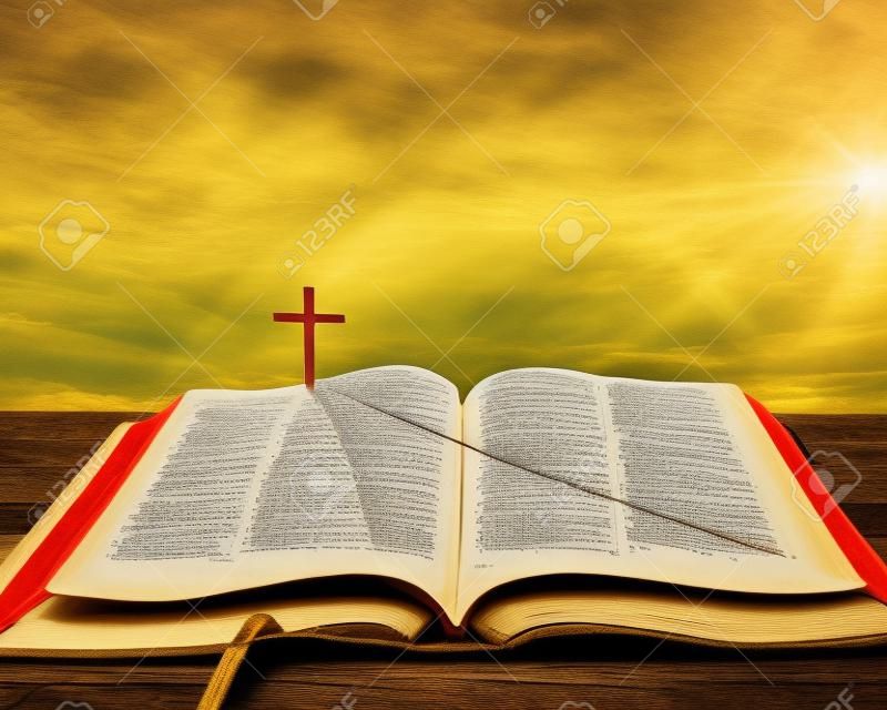 Una Biblia abierta con una carretera y campo de hierba que conduce a una cruz.