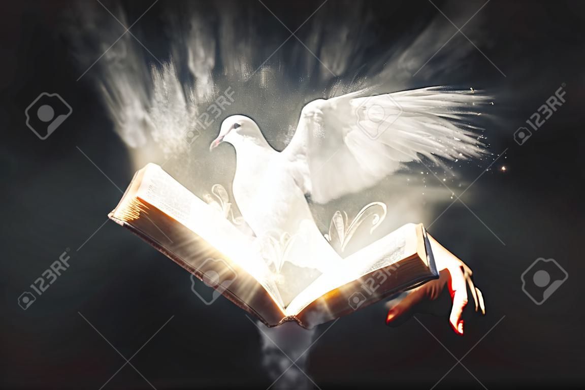 オープン聖書は、明るく輝く白い鳩を明らかにします
