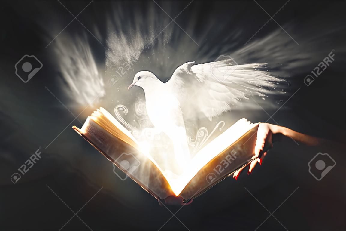 開放的聖經揭示了明亮的發光白鴿