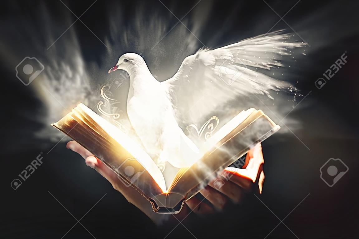 An open Bible reveals a bright glowing white dove