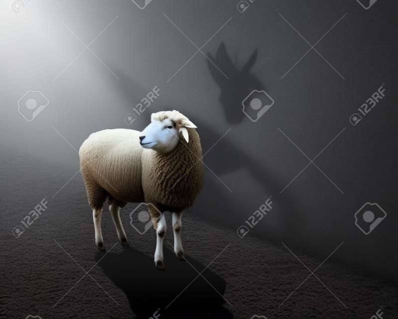 Uma ovelha com a sombra de um lobo