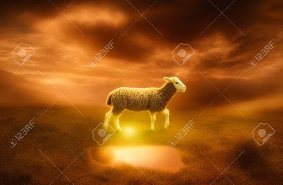 Ein surreales Bild eines Lammes mit einer Löwenreflexion