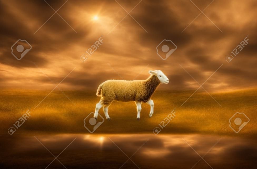 A surreal image of a lamb with a lion reflection