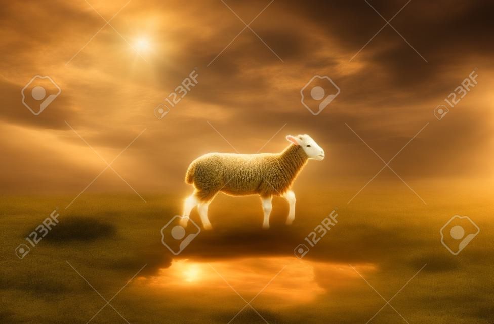 A surreal image of a lamb with a lion reflection