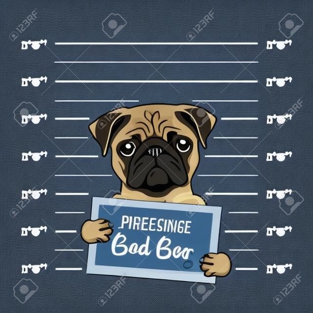 Pug prisoner. Arrest photo. Police placard, Police mugshot, lineup. Police department banner. Dog criminal. Pug offender Vector illustration