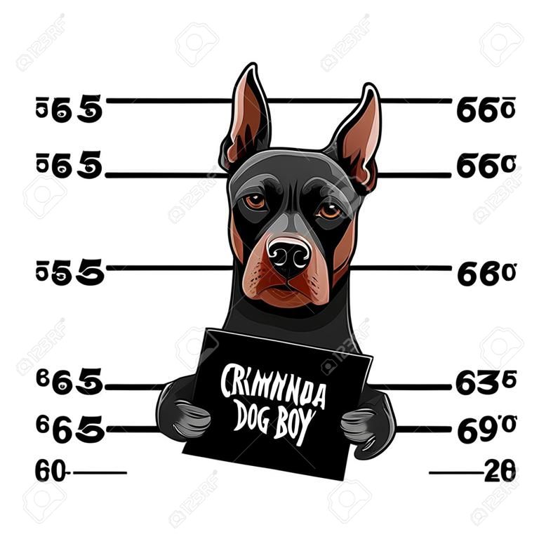 Ilustração, de, cão, criminoso, com, menino mau, letras.