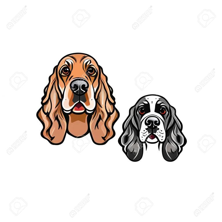English Cocker Spaniels portraits. Dog breed. Two dogs. Vector illustration