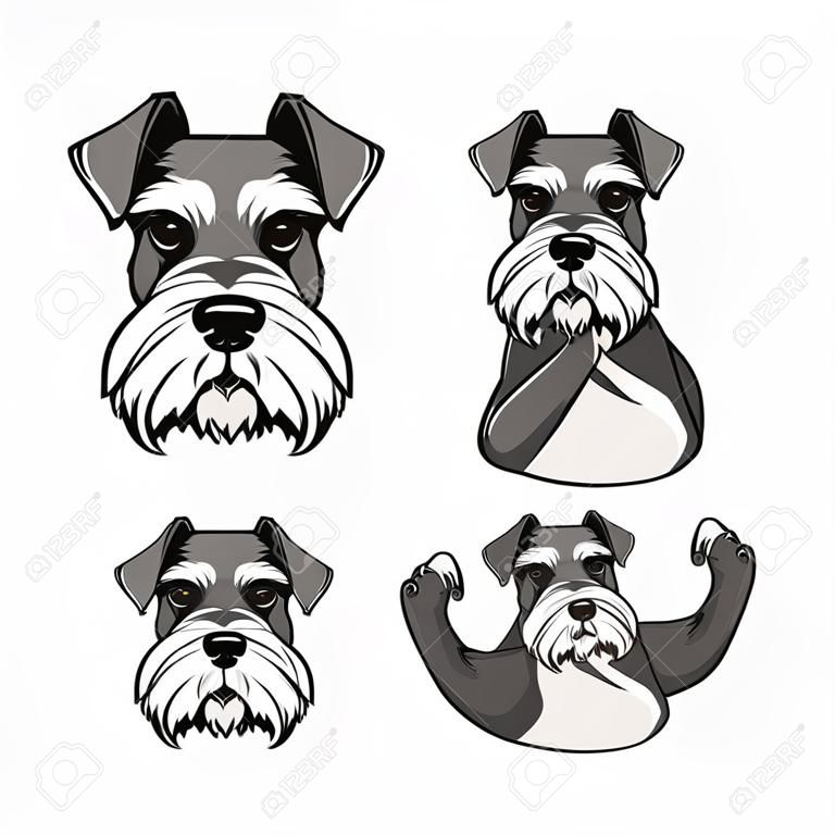 Schnauzer Dog. Rock gesture. Schnauzer set vector illustration.