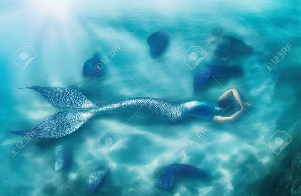 真正的美人鱼在大洋彼岸休息。银质的尾巴，身上布满鳞片。创意色彩