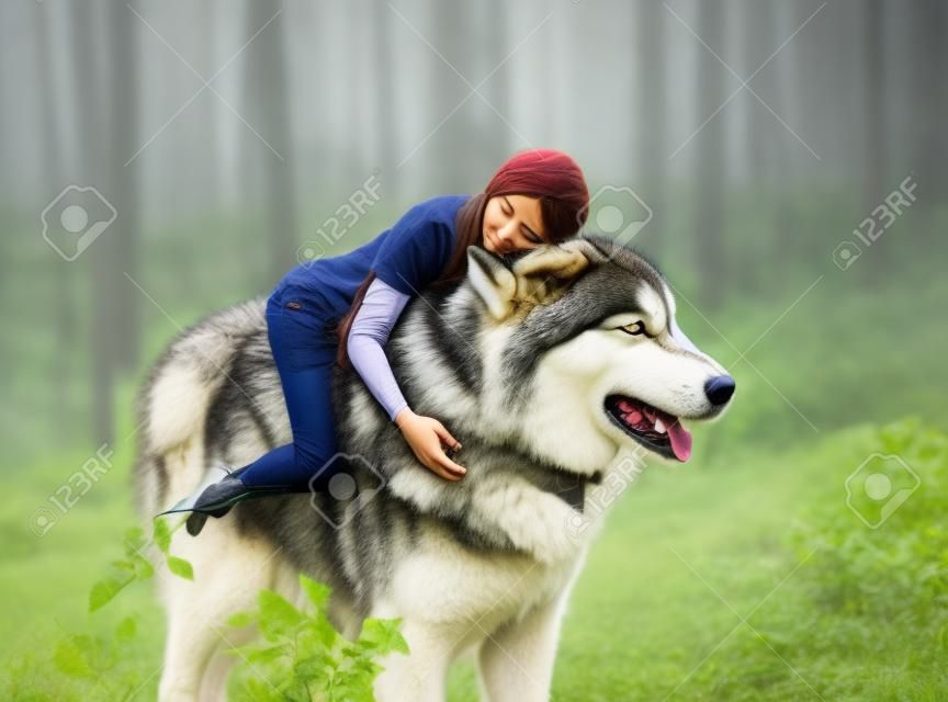 A fragile girl riding a wolf. Sleeping Beauty. Alaskan Malamute is like a wild wolf. The background is a fabulous forest in warm autumn colors