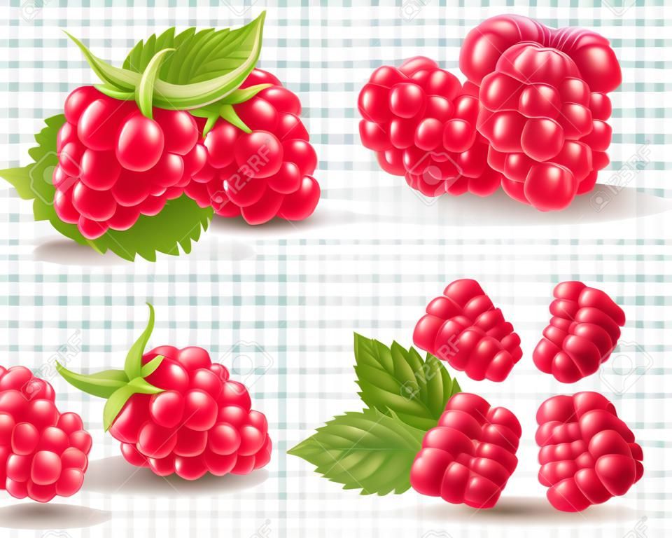 Collection of ripe raspberries isolated on transparent background. Natural summer fruit, realistic 3d vector illustration. Ingredient for juices, jams, yogurts, compotes. Mockup for package design