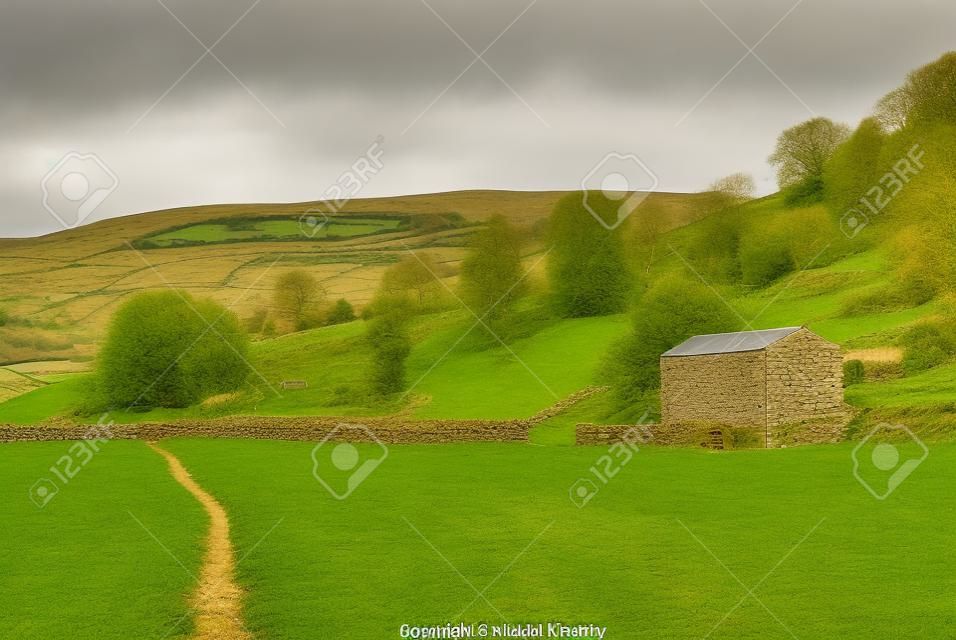 Remote farm track leading through green fields past an old agricultural barn in Swaledale, Yorkshire Dales