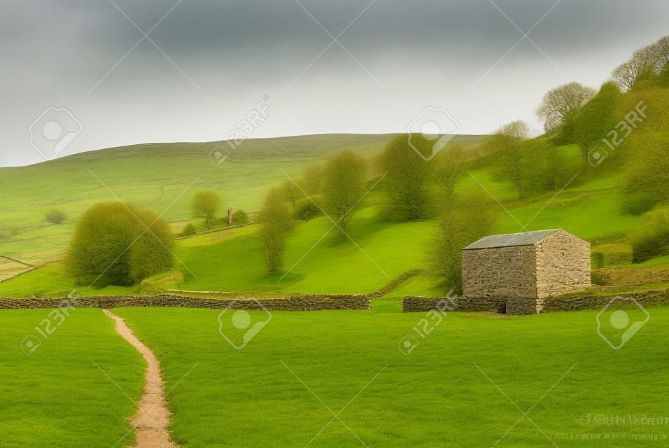 Remote farm track leading through green fields past an old agricultural barn in Swaledale, Yorkshire Dales