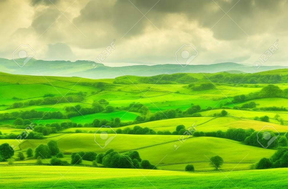 Scena pastorale di lussureggiante verde dei terreni inglese