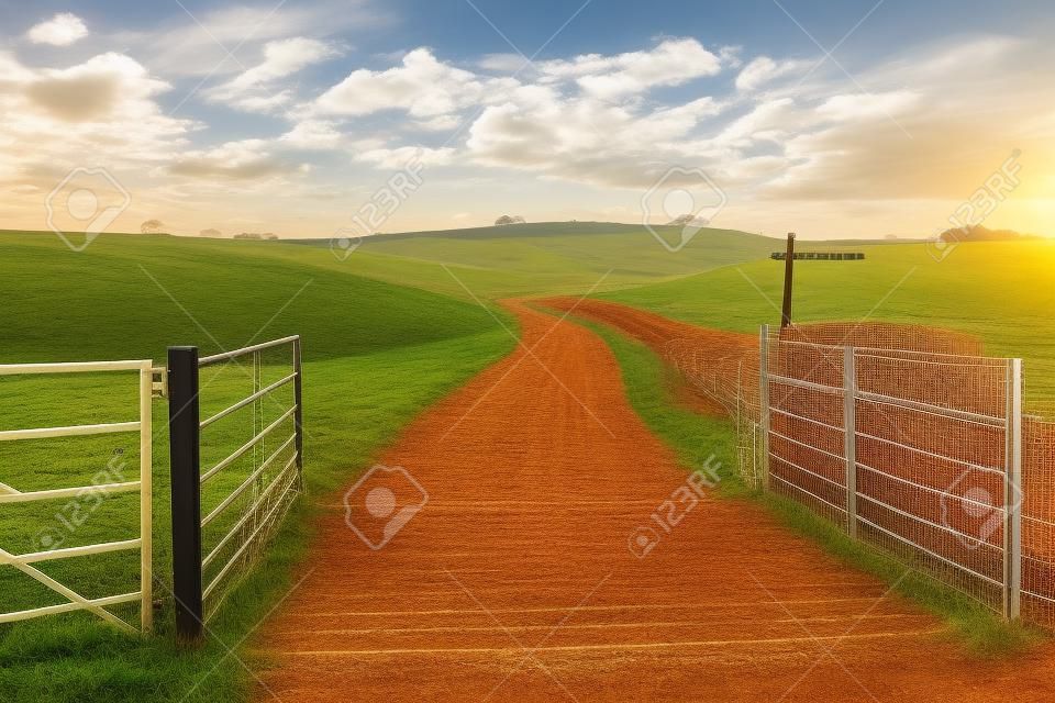 Um portão aberto e uma grade de gado que leva a uma trilha do país