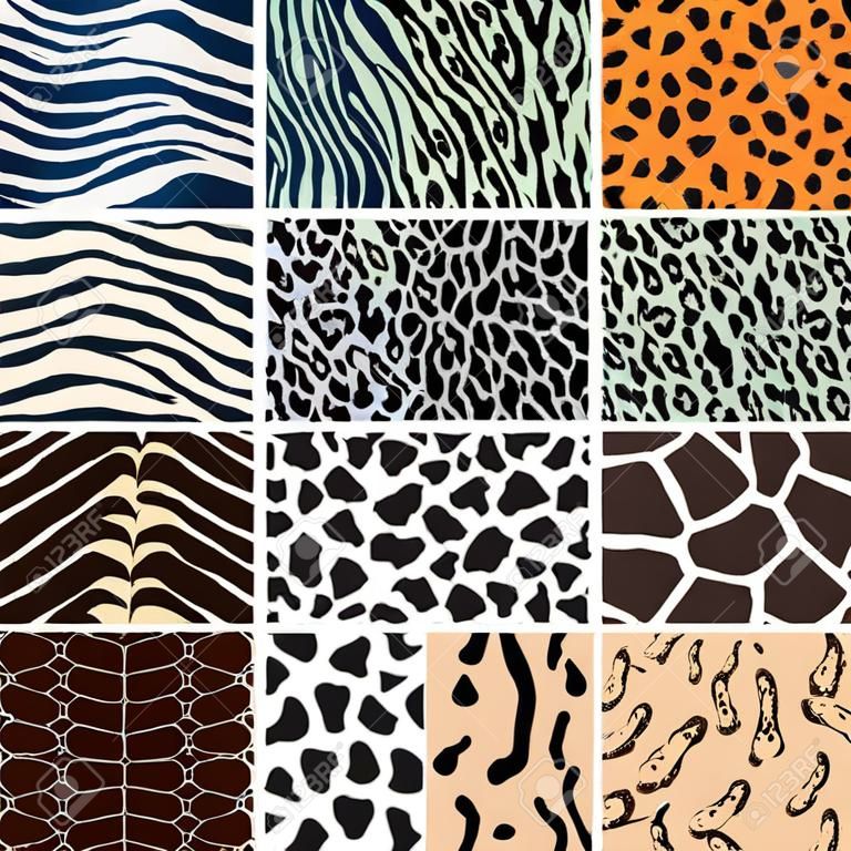 Wild animal skin pattern set