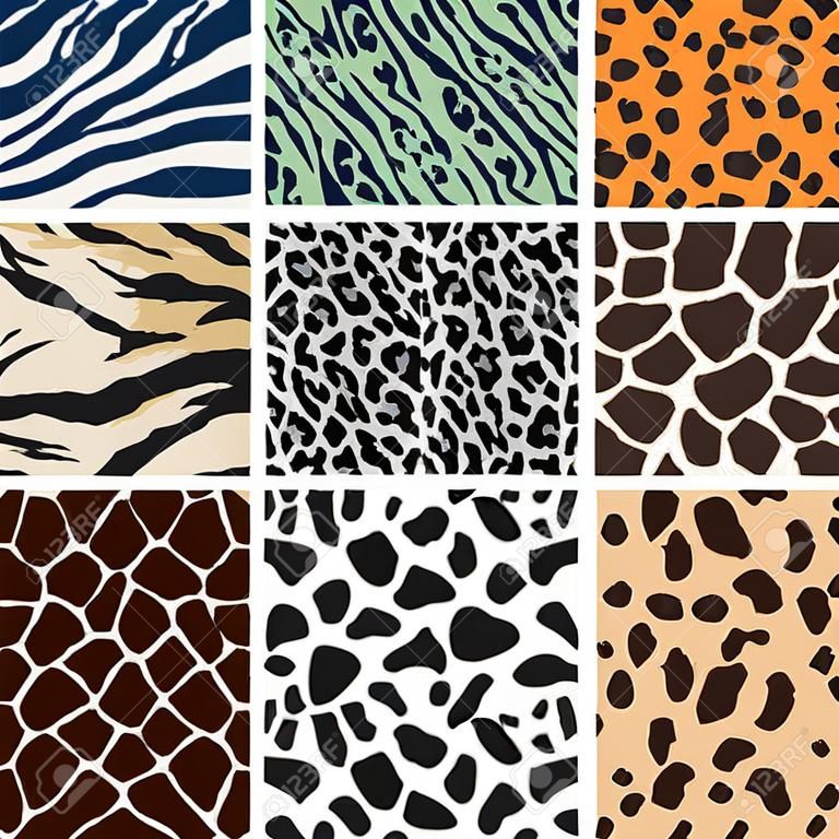 야생 동물의 피부 패턴 세트